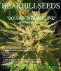 medical-cannabis-emblem-vector-18983777.jpg