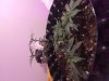 20181123_131444.jpg