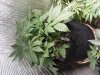 20181117_090043.jpg