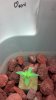 2013-02-25_16-06-20_191.jpg