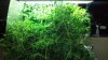 2012-04-26_21-24-52_561.jpg