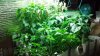 2012-06-15_21-03-11_306.jpg