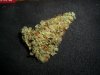 AMNESIA NUGG 2.jpg AMNESIA NUGG 2.jpg