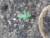 20130228_092909.jpg