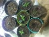 20130228_092937.jpg