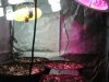 DIY & HH LED 1.jpg DIY & HH LED 1.jpg