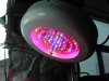 Hydroponics Hut 90W ufo.jpg Hydroponics Hut 90W ufo.jpg
