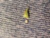 20181204_181321.jpg