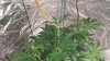 20181204_191913.jpg