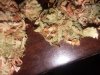 20181205_151538.jpg