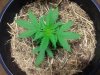 20181209_034955.jpg