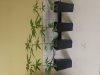 20181209_035331.jpg