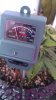 IMAG0343.jpg