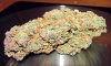 CM_dry_3-small.jpg