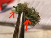 harvest1.jpg