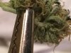 harvest2.jpg