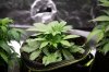 SC2_01_07_2019_D25.jpg
