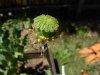 DSCN1189.jpg