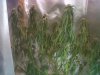 IMG-20130308-03194.jpg