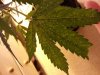 20130308_184014.jpg