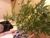 20130308_184301.jpg