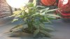 100_0406.jpg