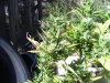 100_9857.jpg