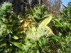 100_9870.jpg