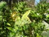100_9871.jpg