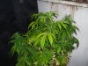 100_9894.jpg