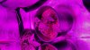 20190113_194019.jpg