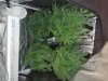 20190110_213247.jpg