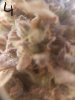 20190116_034916.jpg