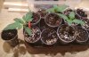 IMG_20190116_160327.jpg