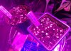 IMG_20190123_210427.jpg