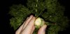 20190129_023844.jpg