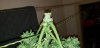 20190129_023811.jpg