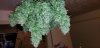 20190129_023804.jpg