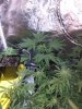 IMG_20190130_190034266.jpg