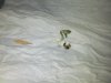IMG_20130312_190304.jpg