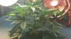 100_0421.jpg