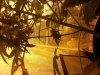 20130313_193443.jpg