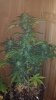 2013-03-14_00-01-07_753.jpg