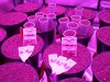 ULTIMATE DP SOG JOURNAL day 6 seedlings 12no 002.jpg ULTIMATE DP SOG JOURNAL day 6 seedlings 12no 002.jpg