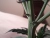 2013-03-15 12.40.08.jpg