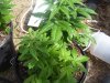 100_9948.jpg