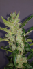 20190202_180353.png