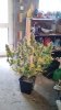 IMG_20190205_092627.jpg