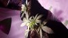 20190211_043609.jpg