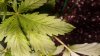 20190211_043510.jpg